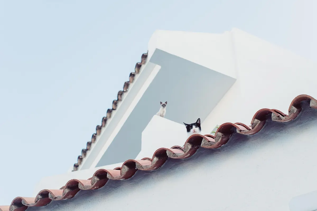 In-Store vs. Online Returns: A Comparison of Policies, Costs, and Customer Expectations